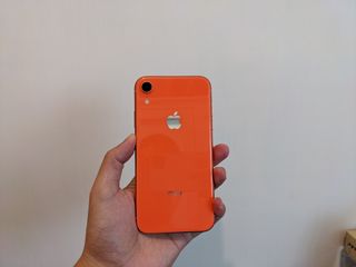 （分類：）位於 。 由 shibalover10 提交（商品編號 1002394965，圖片 1）。簡介： 。
