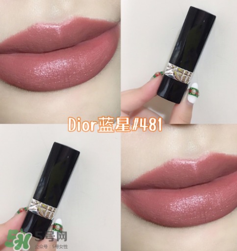 rouge dior 481