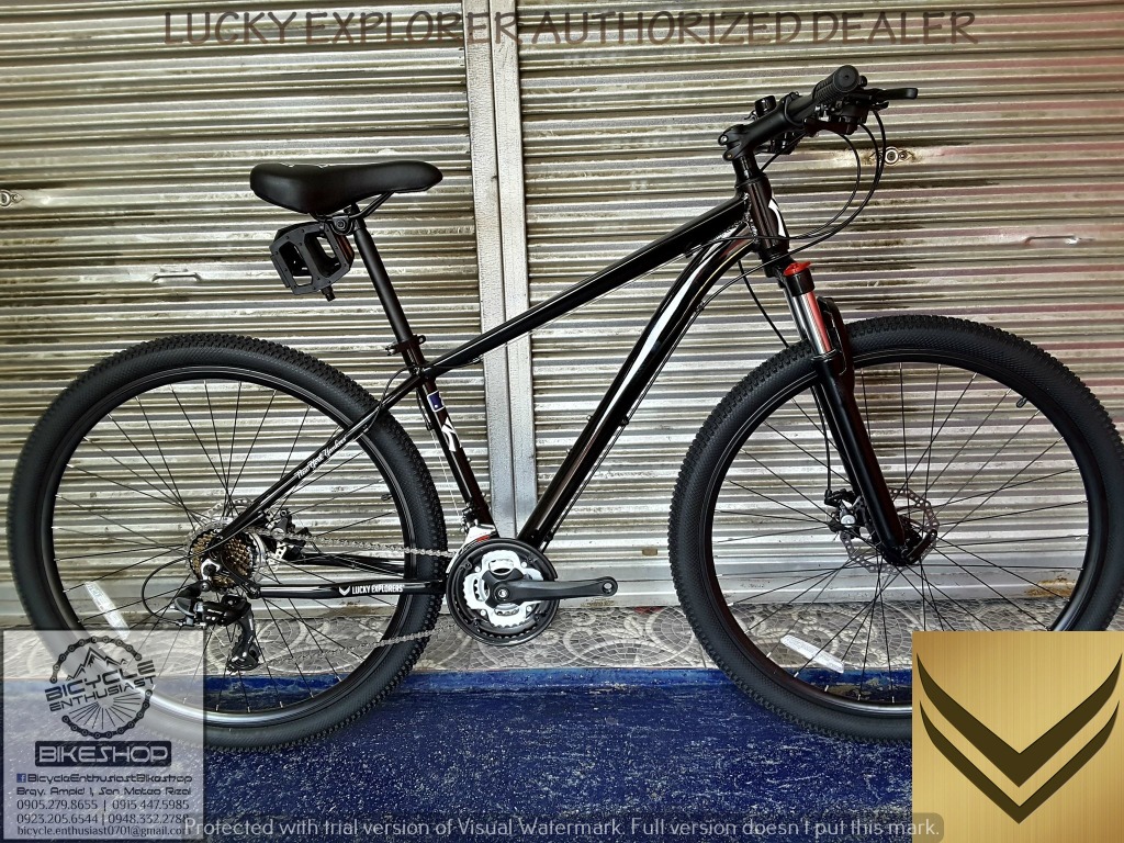 mtb knicks