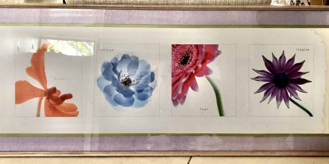 Framed Flower Poster (Category: Frames & Pictures) located in Pasig City. Submitted by lisaandprincess (Listing ID 1002643701, Image 1). Description: Poster was bought in US and framed locally using solid wood with grooves and glass. 41 cm x 102 cm. There is a slight water damage (see second image). Payment via bank deposit. Delivery fee to be shouldered by buyer..