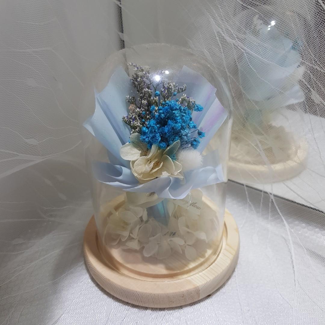 Preserved Flower In Glass Bell Dome Jar 永生花玻璃罩 Everlasting Hydrangea Everlasting Baby Breath Gardening Flowers Bouquets On Carousell Preserved Flower In Glass Bell Dome Jar 永生花玻璃罩 Everlasting Hydrangea Everlasting Baby Breath Gardening Flowers Bouquets On Carousell