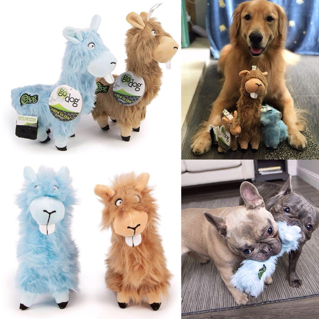 chew guard for dogs