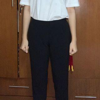 THE EXECUTIVE Business Pants