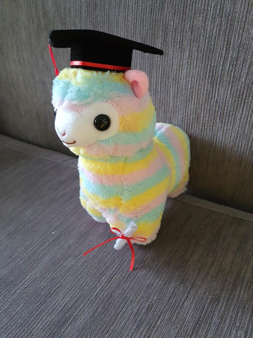 30cm rainbow llama alpaca Colourful sheep graduation bear Hobbies Toys Toys Games on Carousell