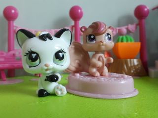 (Category: ) located in . Submitted by cake_pop (Listing ID 1002799370, Image 1). Description: .