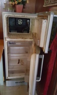 (Category: ) located in . Submitted by mintymints82 (Listing ID 1002794379, Image 1). Description: .
