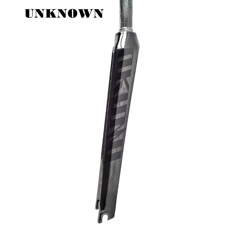 unknown carbon fork