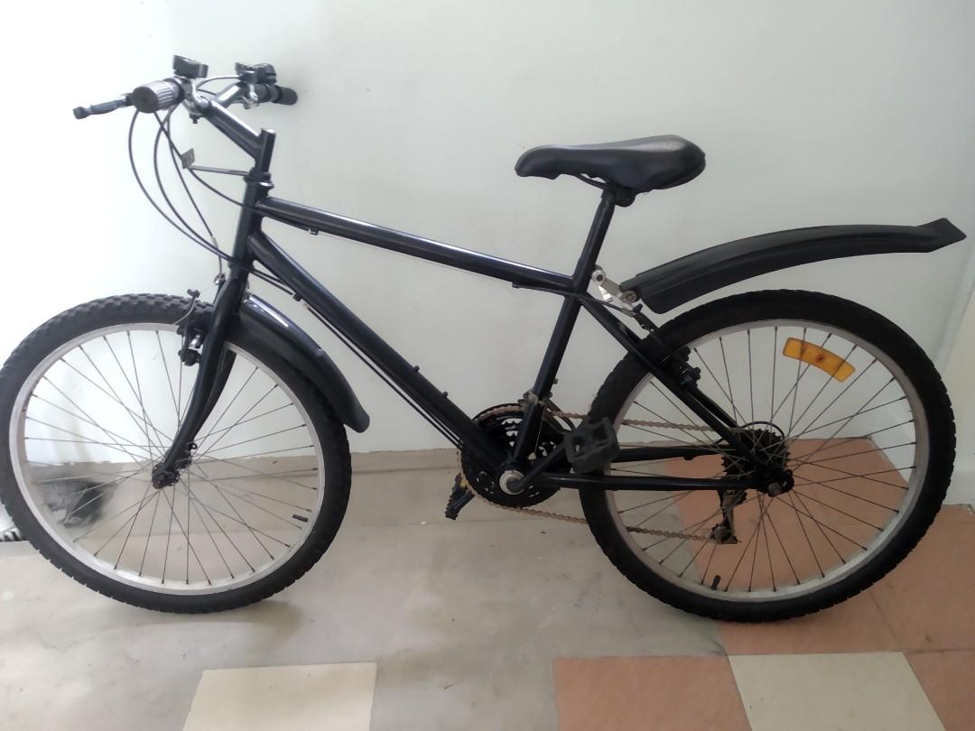 black panther bicycle