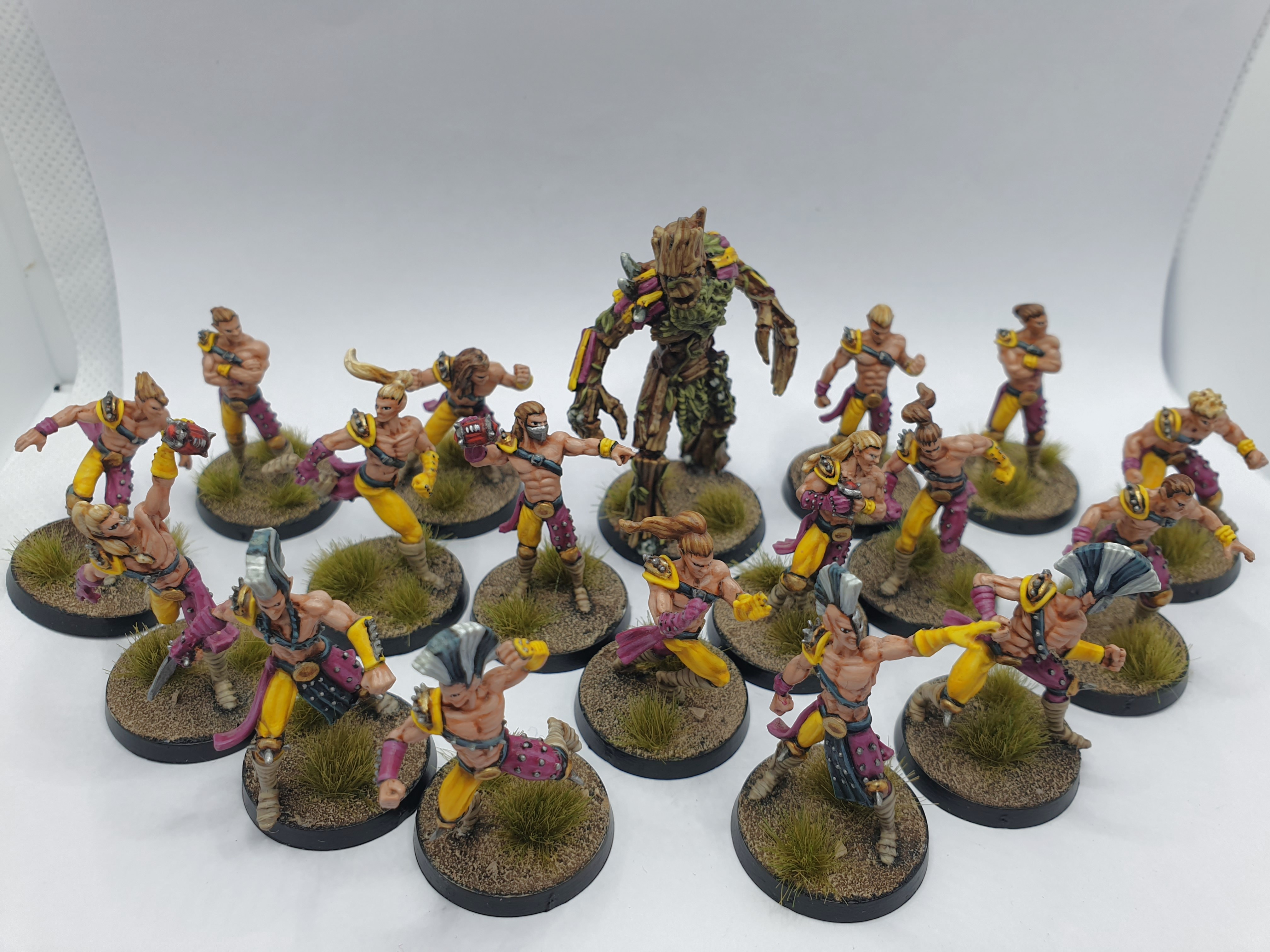 Blood bowl Wood Elf full team very well painted, Hobbies & Toys, Toys