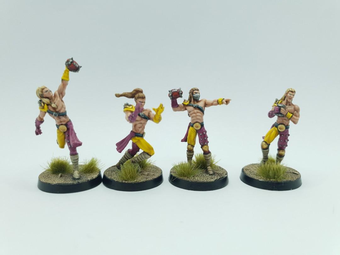 Blood bowl Wood Elf full team very well painted, Hobbies & Toys, Toys