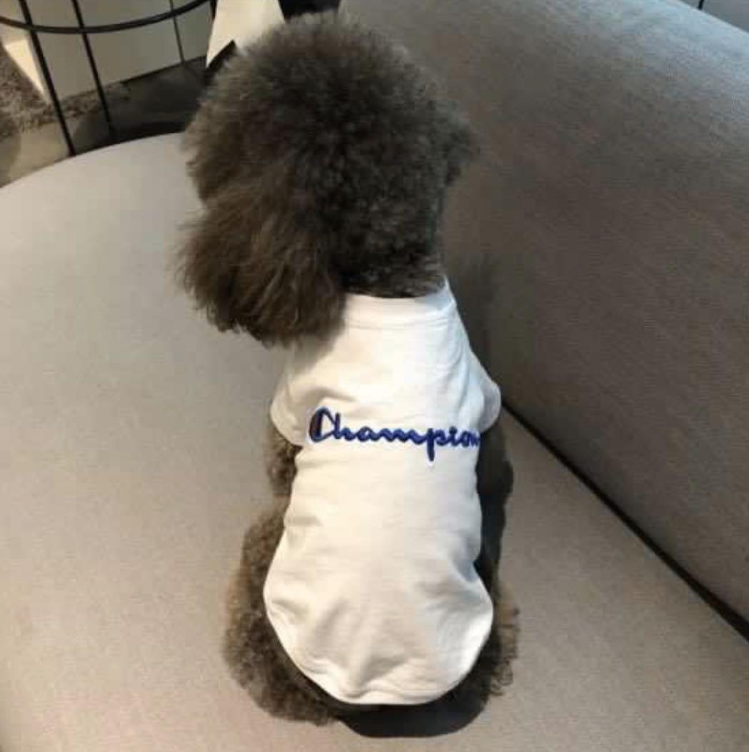 Dog Cat Champion Tee Shirt Puppy Champion Top Tee Pet Cloth Kitten Pet Supplies For Dogs Dog Accessories On Carousell In order to be eligible for the title of fci international champion, a dog must: carousell