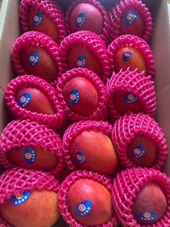 （分類：）位於 。 由 fliebenfruitstudio 提交（商品編號 1003140424，圖片 1）。簡介： 。