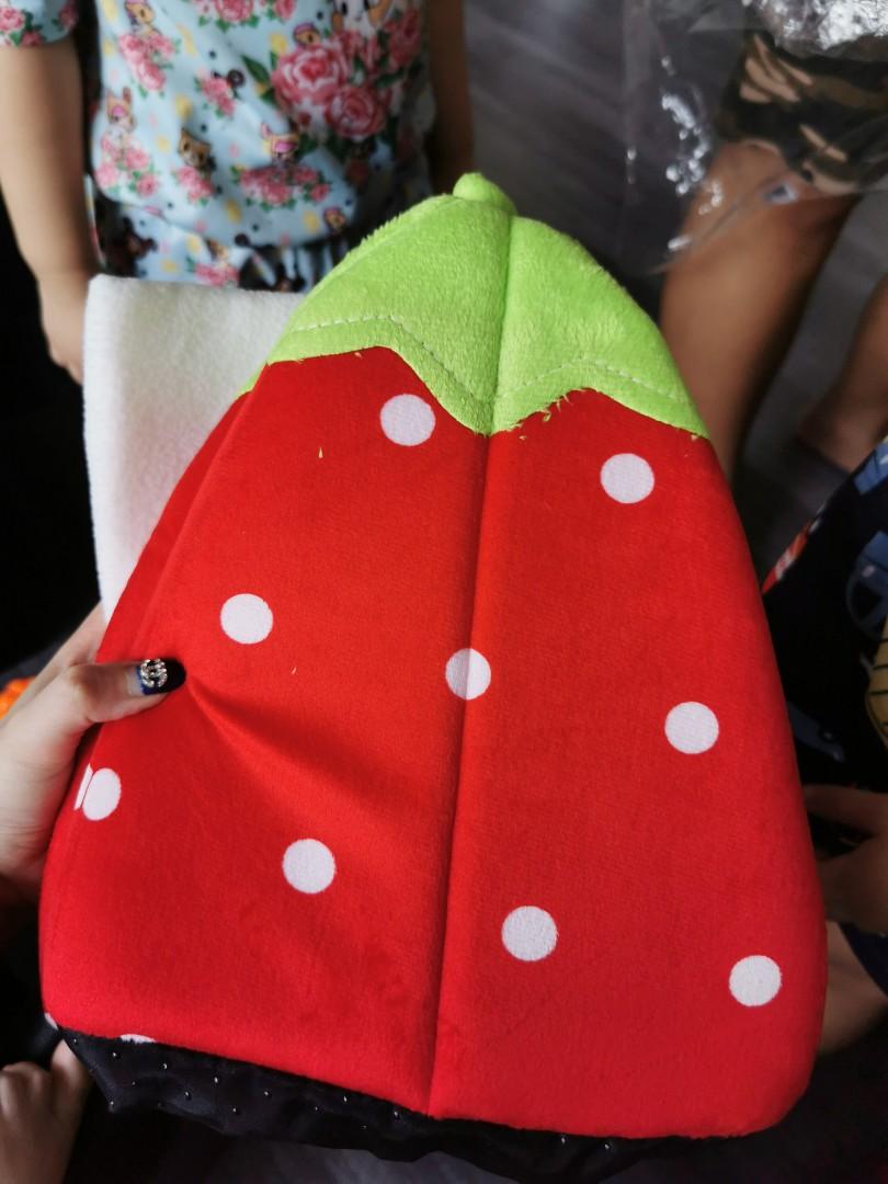 Strawberry Pet House, Pet Supplies, Homes & Other Pet Accessories on