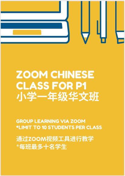 Zoom Chinese Classes Primary Level Learning Enrichment
