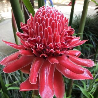 （分類：）位於 。 由 j_cool 提交（商品編號 1003272529，圖片 1）。簡介： 。