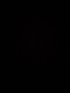 (Category: ) located in . Submitted by auntiegold (Listing ID 1003432568, Image 1). Description: .
