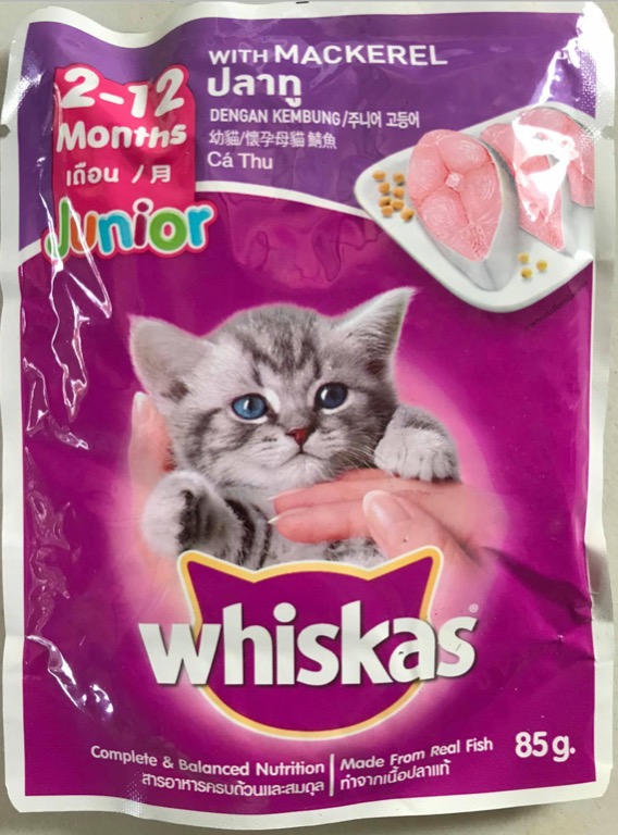 Cat Kitten Wet Food Pets Supplies Pet Food On Carousell