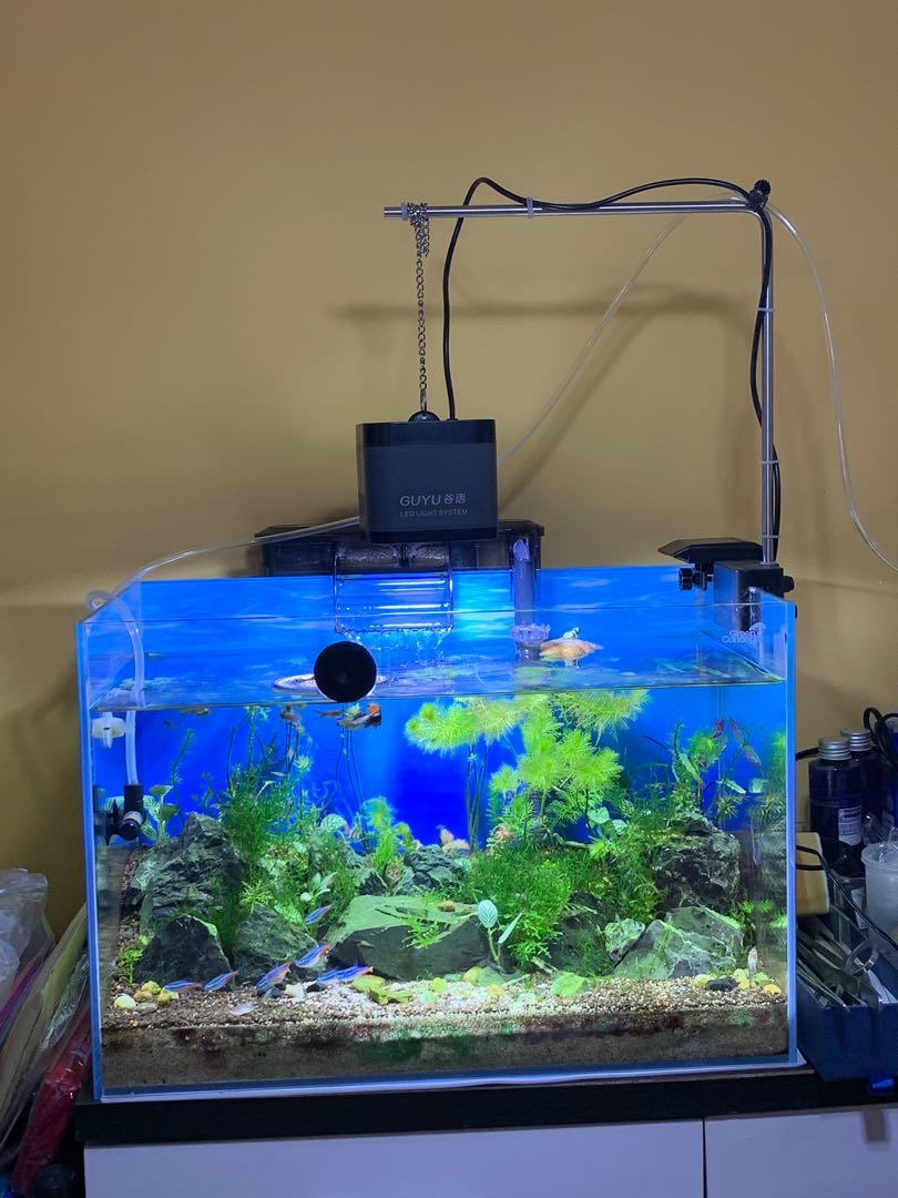 Guyu Led魚缸水草燈 寵物用品 寵物飾物 Carousell