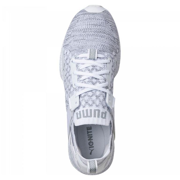 Original PUMA IGNITE EVOKNIT LO HYPERNATURE Shoes Men s Fashion