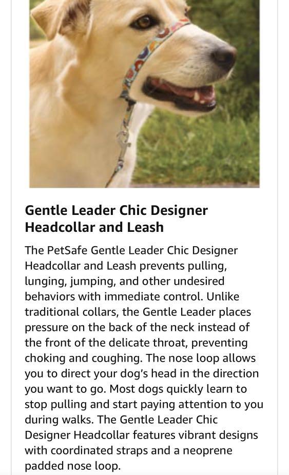 Gentle leader chic new arrivals