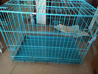 （分類：）位於 。 由 bbtung 提交（商品編號 1003486545，圖片 1）。簡介： 。