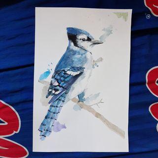 Blue Jay watercolor painting