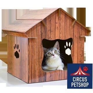 (Category: ) located in . Submitted by circus.petshop (Listing ID 1003522422, Image 1). Description: .