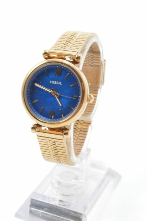 Es4693 fossil top