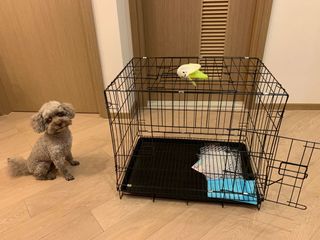 （分類：）位於 。 由 ar_so 提交（商品編號 1003588971，圖片 1）。簡介： 。