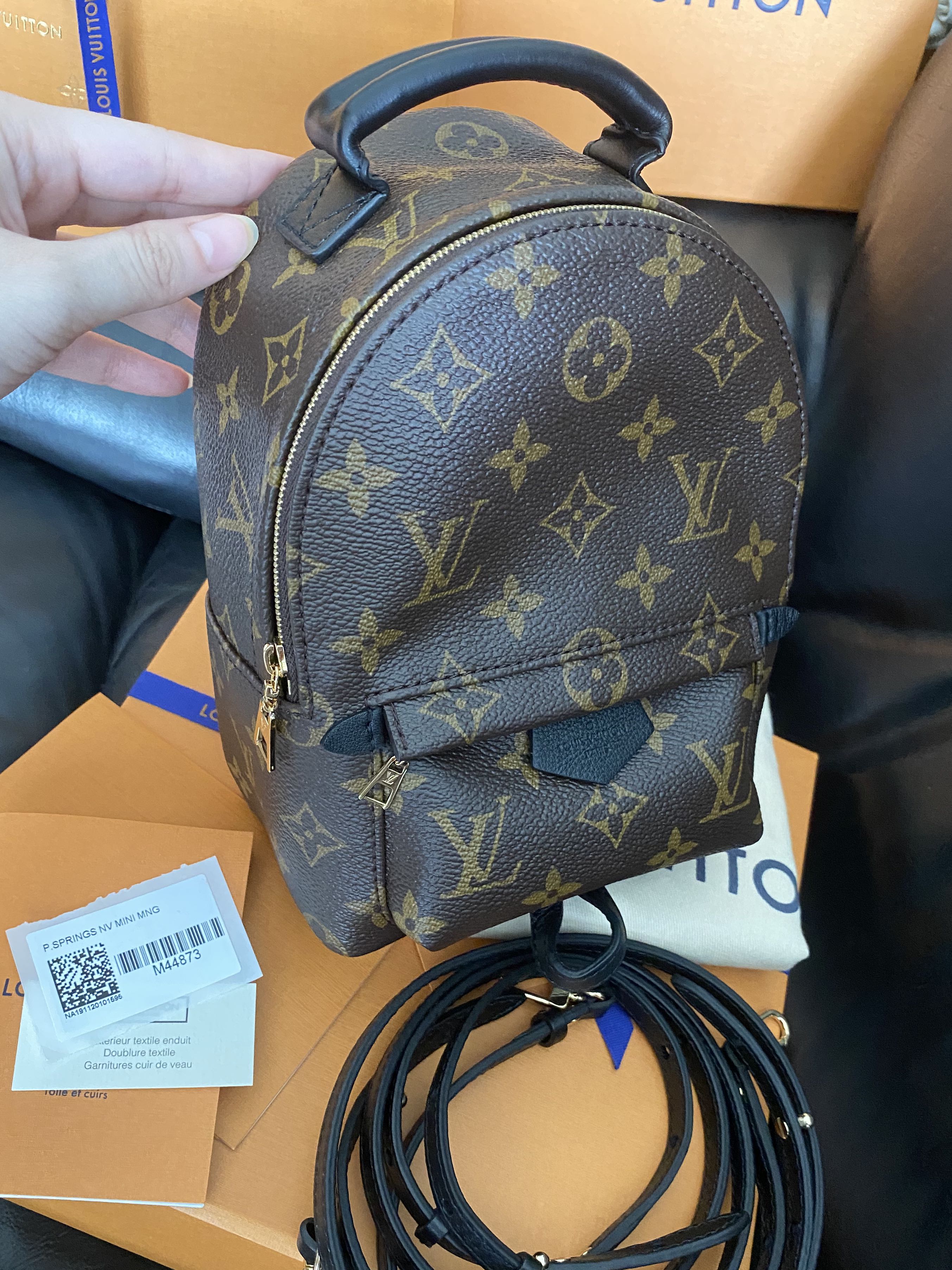 Bnib ❤️New Zip❤️ Lv Palm Spring Mini Monogram Backpack / sling bb, Luxury,  Bags & Wallets on Carousell