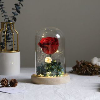 (Category: ) located in . Submitted by sjo_flora (Listing ID 277834448, Image 1). Description: .