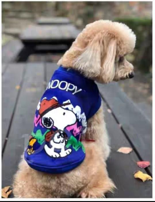 Dog Clothes Pet Supplies For Dogs Dog Accessories On Carousell
