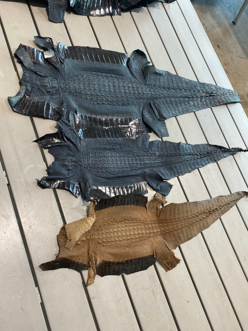 Crocodile hide hotsell