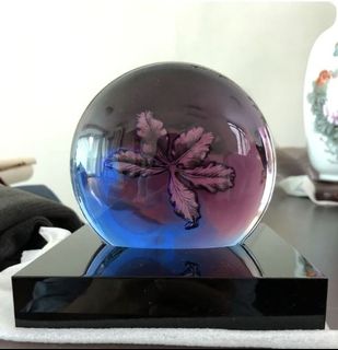 （分類：）位於 。 由 22catcat 提交（商品編號 1000136844，圖片 1）。簡介： 。