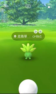 （分類：）位於 。 由 pokemonletgo 提交（商品編號 1000170112，圖片 1）。簡介： 。