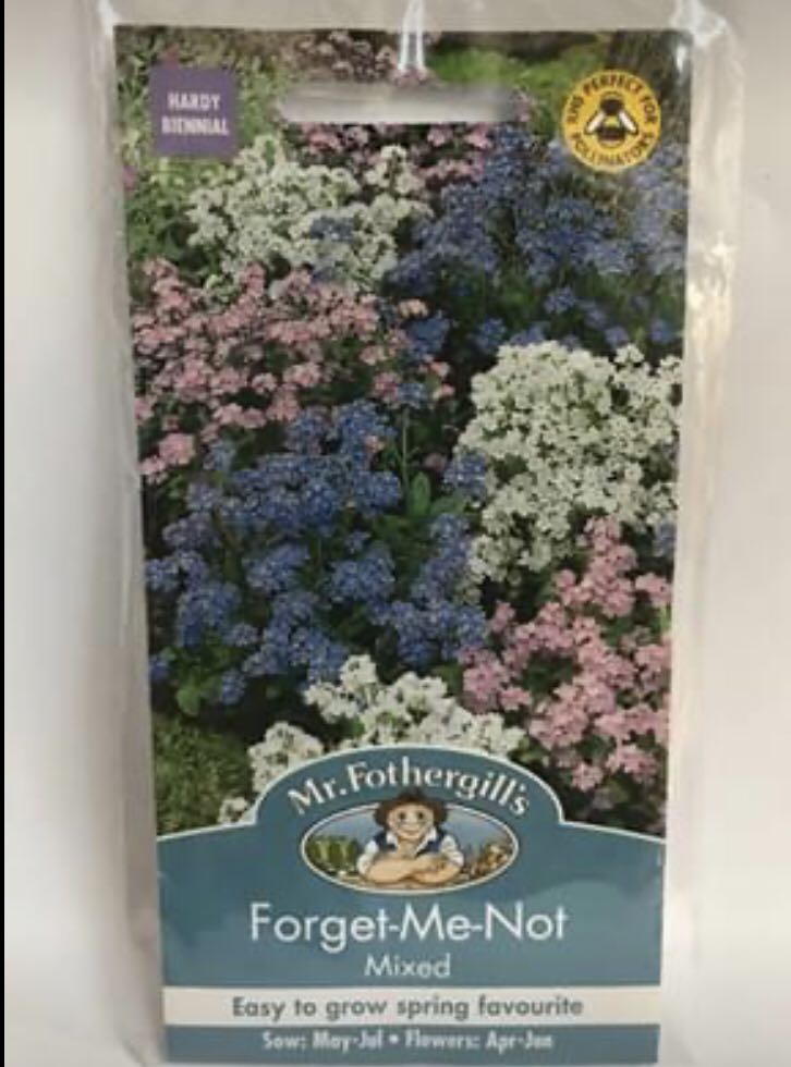 英國forget Me Not花種子 適合盆栽及季節種植 傢俬 家居 Gardening Plants Carousell 英國forget Me Not花種子 適合盆栽及季節種植 傢俬 家居 Gardening Plants Carousell