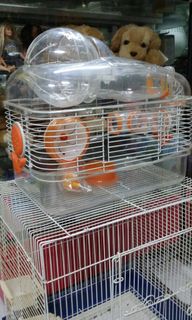 (Category: ) located in . Submitted by petstudio77 (Listing ID 271996176, Image 1). Description: .