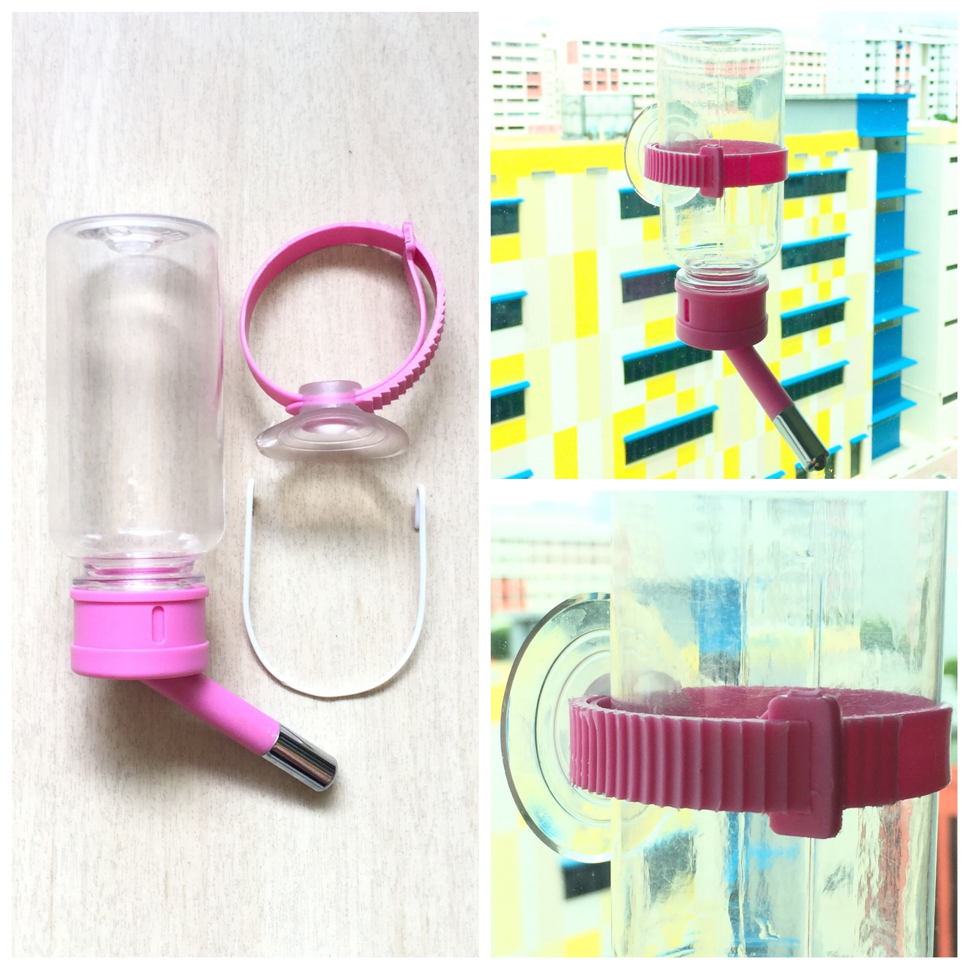 Hamster water bottle hotsell holder for glass tank