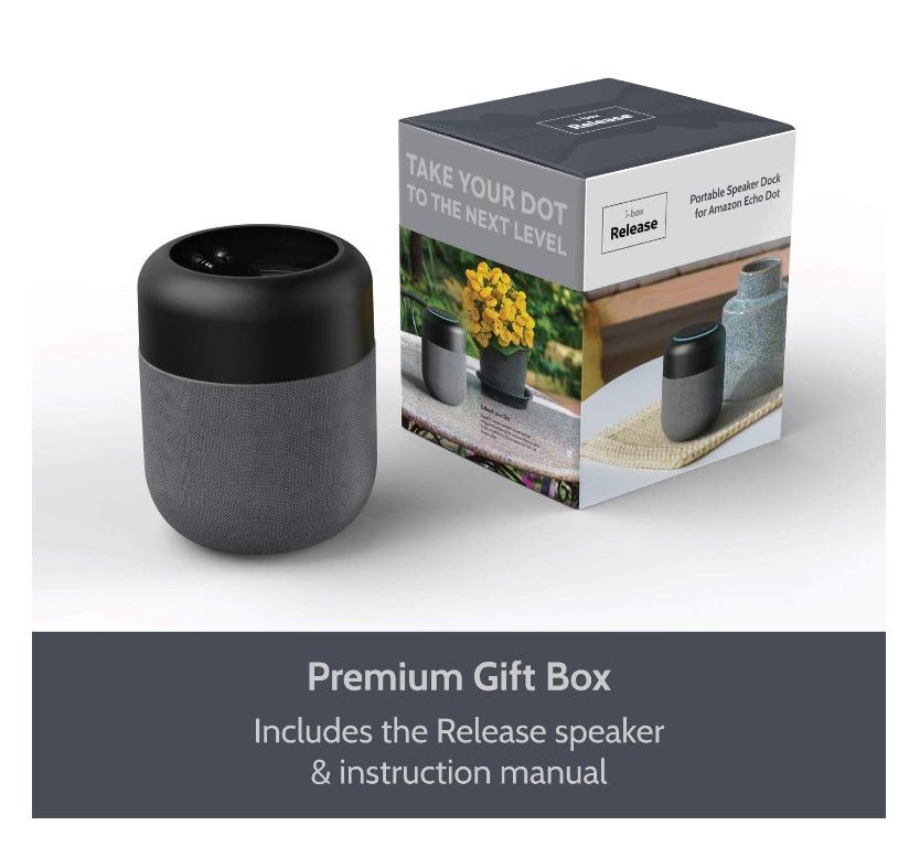 Echo dot docking store station