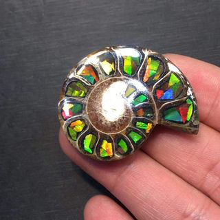 (Category: ) located in . Submitted by ocean_1977 (Listing ID 1005514989, Image 1). Description: .