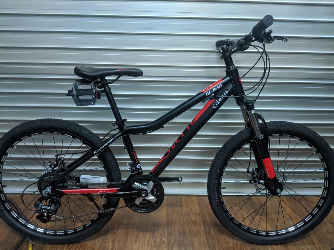 Giern GL 830 24 Mountain Bike Sports Equipment Bicycles Parts Bicycles on Carousell