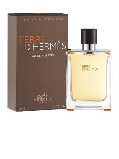 全場最平 正貨 Hermes Terre D Hermes 愛馬仕淡香水噴霧100ml 美容 化妝品 指甲美容 香水 其他 Carousell