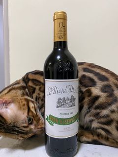 （分類：）位於 。 由 jaynwic 提交（商品編號 1005726673，圖片 1）。簡介： 。