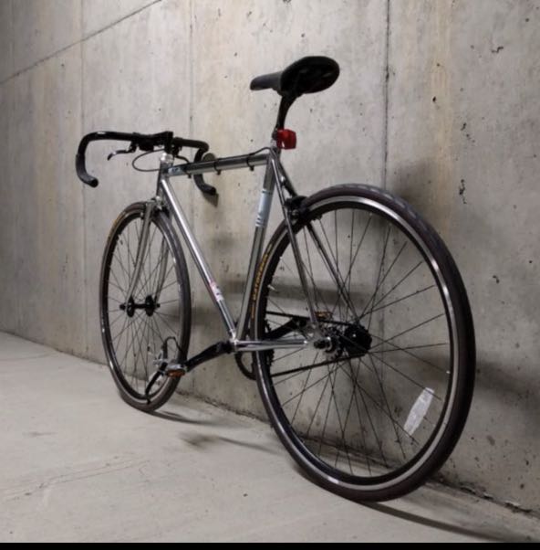 Fuji sale feather silver