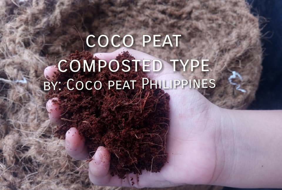 Coco peat Philippines