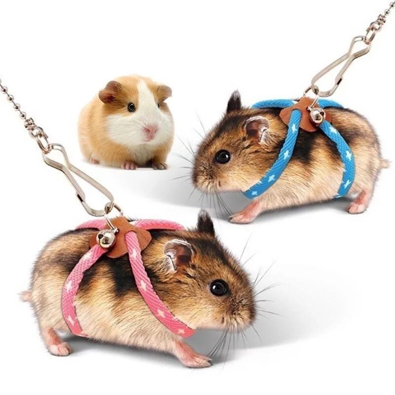Hamster harness leash Clearance