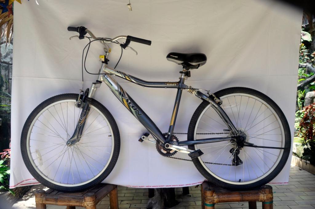 Avalon dual suspension aluminum bike sales