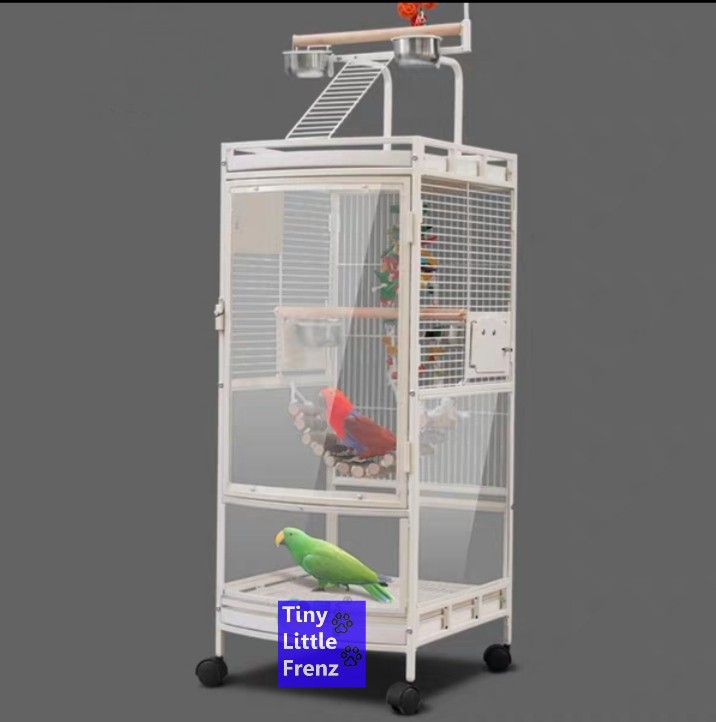 PREORDER Parrot Cage 46cm, PlayTop, Acrylic, Wheel Pet Bird / Parrot ... - Parrot Wheel Attachment For Cage