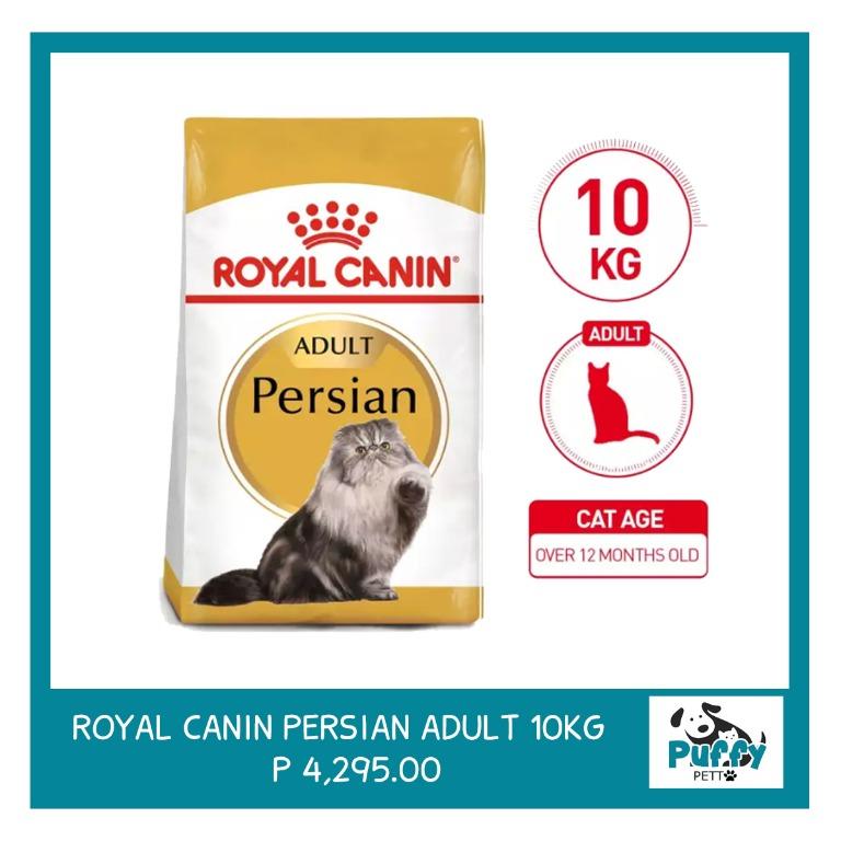 Royal Canin Persian Adult 10kg Pets Supplies Pet Food On Carousell