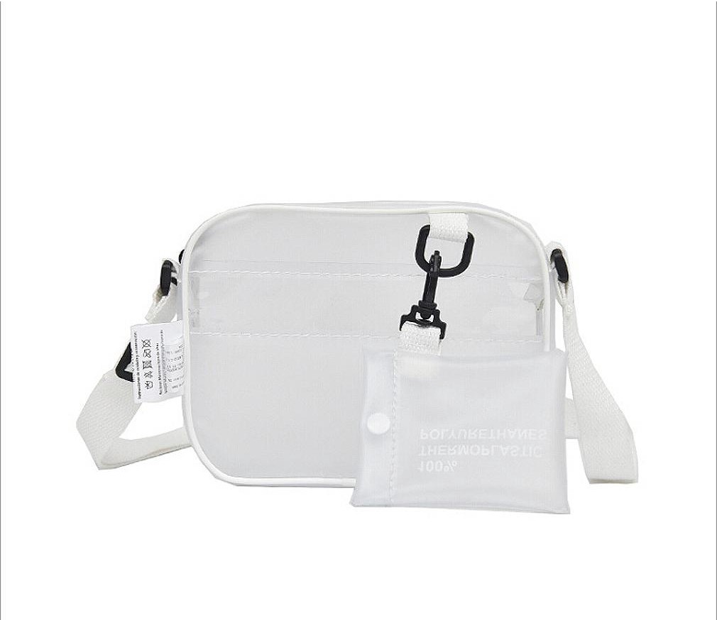 transparent messenger bag